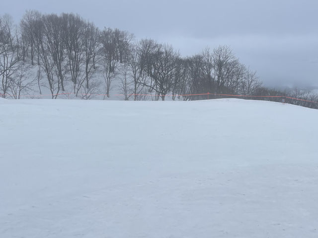 �ɎΖʂ�����_���q�X�m�[���]�[�g