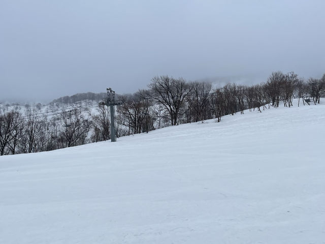 �����ɂ��̉J�ł����B_���q�X�m�[���]�[�g