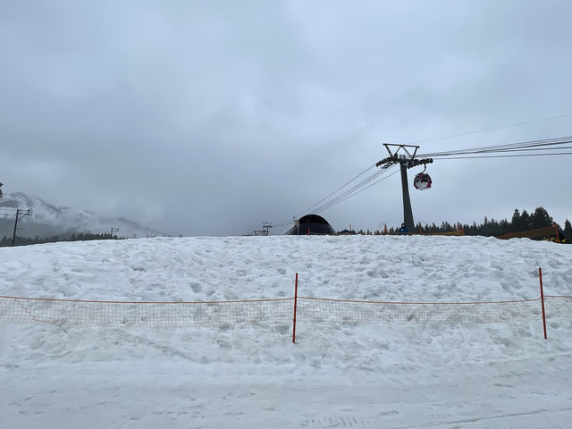 ��V�сH�H���Ղ����ς�_���q�X�m�[���]�[�g