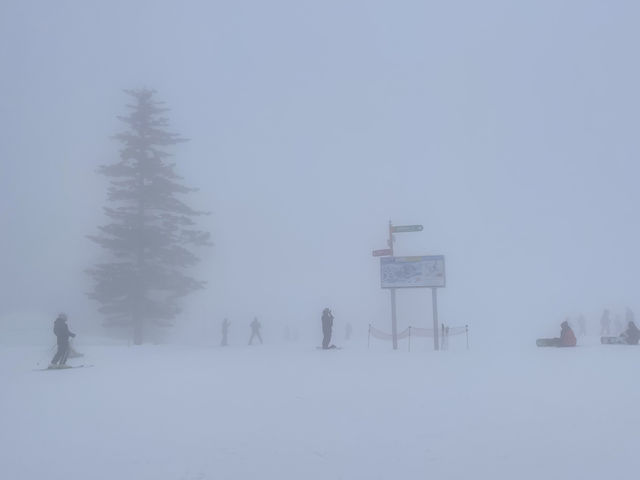 ��̕��͔Z���E�E�E�B_�L�����X�m�[���[���h