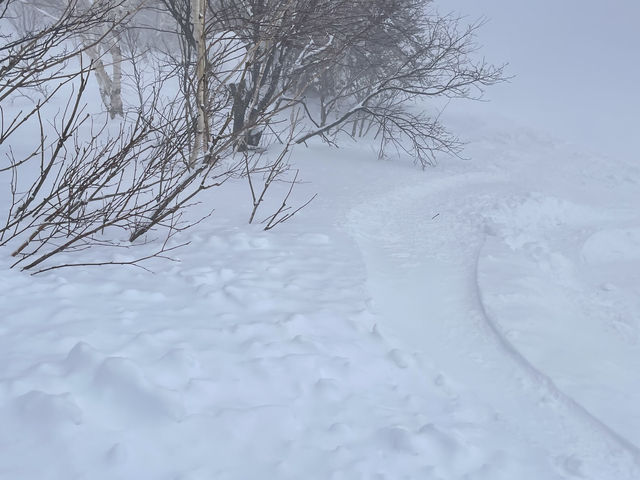 �p�E�_�[�ł���_�L�����X�m�[���[���h