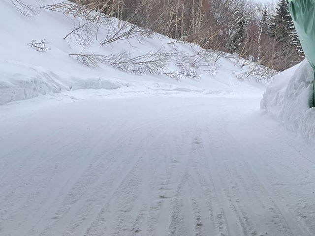 �g���l���R�[�X�ʔ�������_�L�����X�m�[���[���h