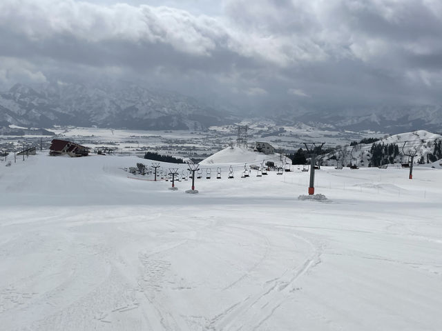 ����Ȋ���_���C�J�X�m�[���]�[�g