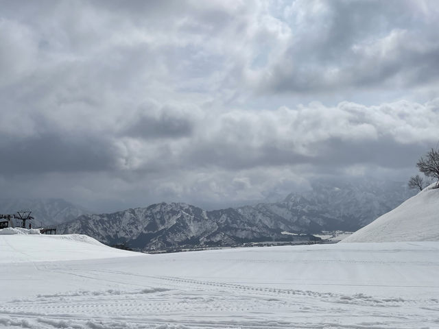 ����Ă���΂����Ƃ��ꂢ�Ȍi�F_���C�J�X�m�[���]�[�g