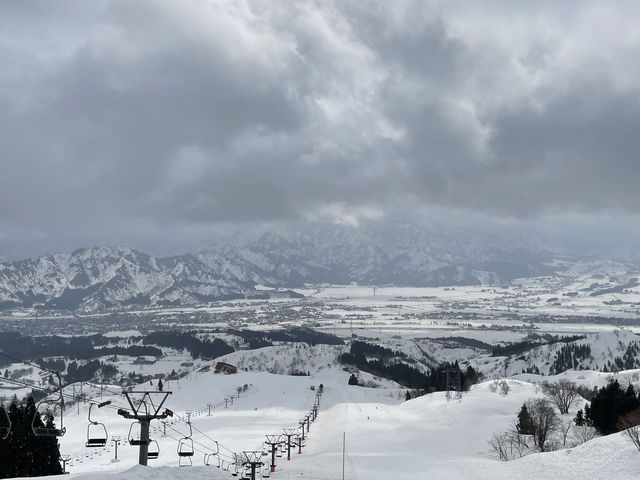 ���K�͂ȃX�L�[��_���C�J�X�m�[���]�[�g