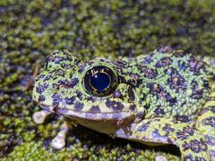 ۂςς̉iCgcA[T[rXւ̓eʐ^1