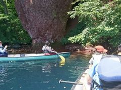 [߂񑾘Y̐AEghAZ^[(X)ւ̓eʐ^1