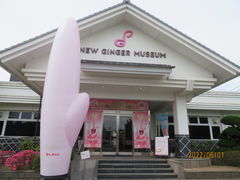 g̊≺̐VI~[WAւ̓eʐ^1