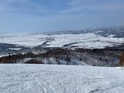 񂪂̃JCXL[NX̓eʐ^6