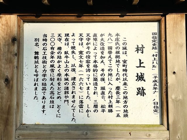 ������ ������_������