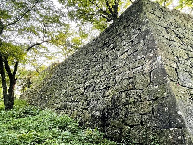 �ƂĂ����h�ȐΊ__������