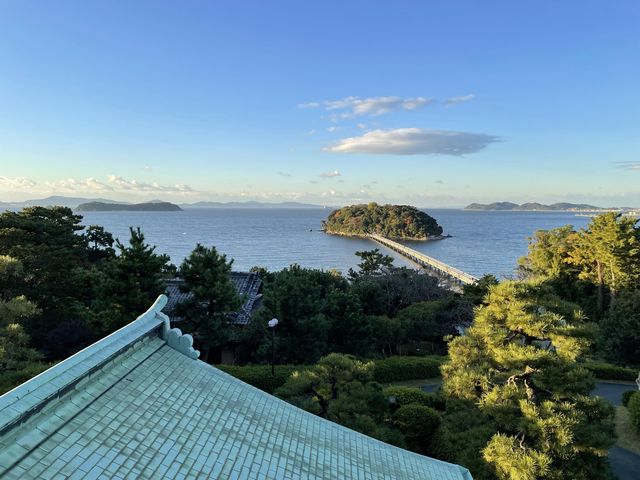 �V����_���S�N���V�b�N�z�e��