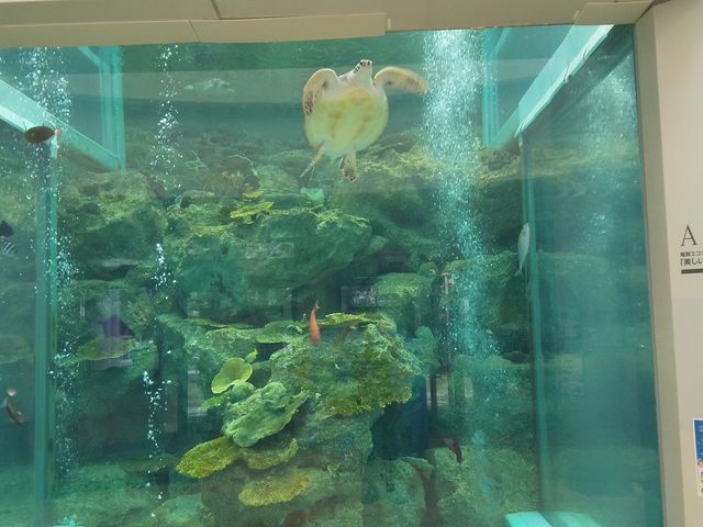 �����C�m�W����