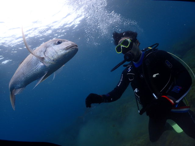 ߂߂ITCỸ}_CoB_NIl_Co[Y