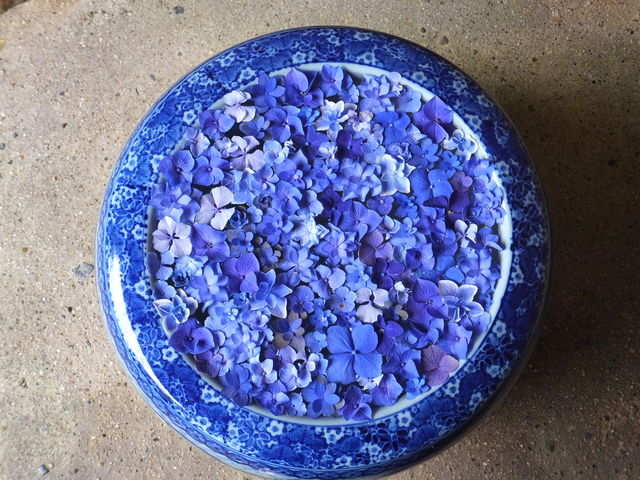 ��t�̉Ԏ萅_����b�ώR��