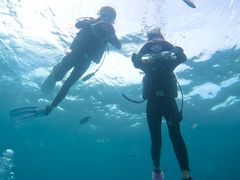 y̐̓A _CrOVbvaւ̓eʐ^1