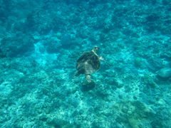 ^ĨV[}bNX_CrONuւ̓eʐ^1