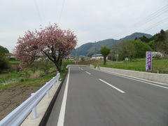 Suicac̈ɓzeV_Ryւ̓eʐ^10