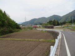 Suicac̈ɓzeV_Ryւ̓eʐ^8