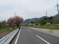 Suicac̈ɓzeV_Ryւ̓eʐ^9