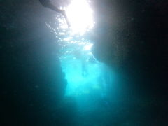 ̃}T[rXނʁ[ւ̓eʐ^1