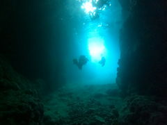 ˂̃}T[rXނʁ[ւ̓eʐ^1