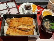 ��������񂳂�̏イ�Ȃ��ە��̓��e�ʐ^1