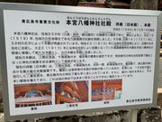 ����������̖{�{�����_�Ђ̓��e�ʐ^9