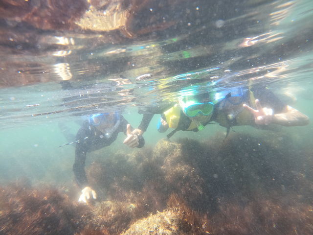 �����ł��I_�G�R�T�[�t�@�[