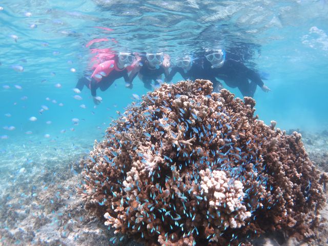 �T���S_�A�}�~�G���V�X