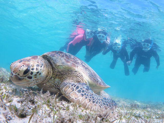 �E�~�K��_�A�}�~�G���V�X