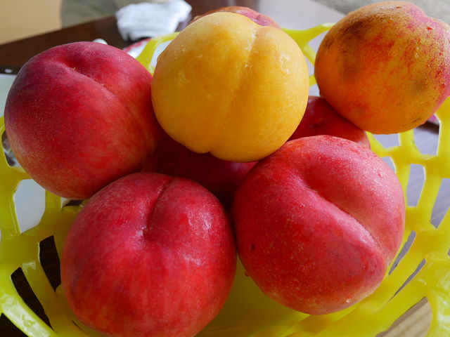 �����A�����A�l�N�^�����H
�H�ו���̓��ł��B_�׉ʉ�