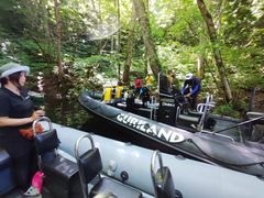 Ё[񂳂̃BgJ̓]ւ̓eʐ^1