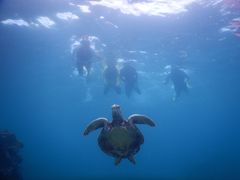 ɂ񂱂SEA ENJOYւ̓eʐ^1