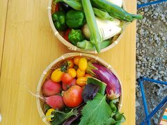 ݂䂫̔쎩Řt@[ւ̓eʐ^1