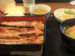 �h���S������̂�����ւ̓��e�ʐ^1