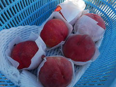 ܂邱̑׉ʉւ̓eʐ^1