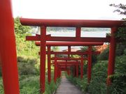 Ă݂̂΂iqׁj̓eʐ^2