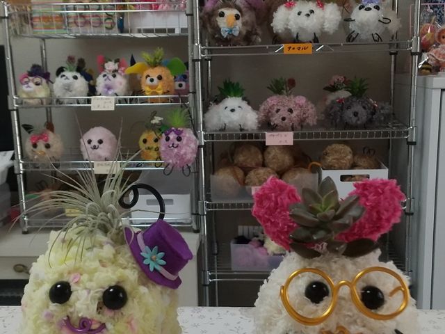 ��O�͍���̍�i�B���͐搶�̍�i�B�v�[�h���Ȃǂ������ł��B_�n�Y�L���X�y�b�g