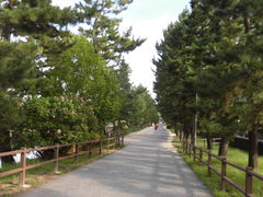 n̑u؁viw薼̂ق̕injւ̓eʐ^1