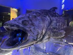 qȐÍ`[Cف`V[JXE~[WA`ւ̓eʐ^1