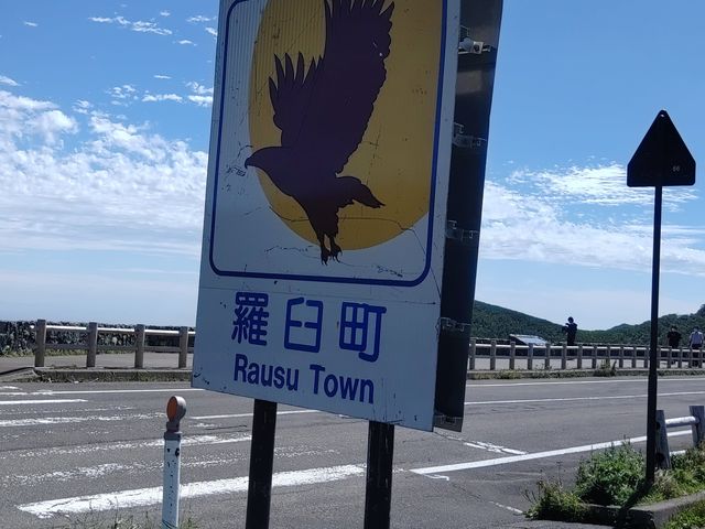 ���P��_�m����