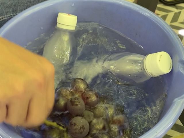 ���̃y�b�g�{�g���𓀂炵�������ǂ������I�₽���Ԃǂ��̂ق������͍D���ł����B_����(���@)�_��(�����s�ό��Ԃǂ��Z���^�[�������x��)