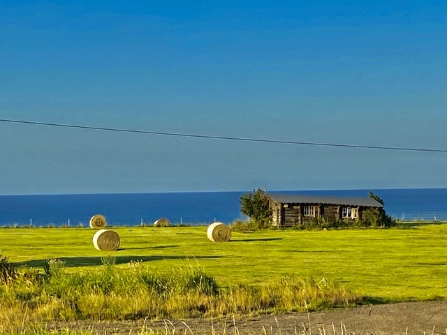 �I�z�[�c�N�C�Ɩq��_�\�斦�C��