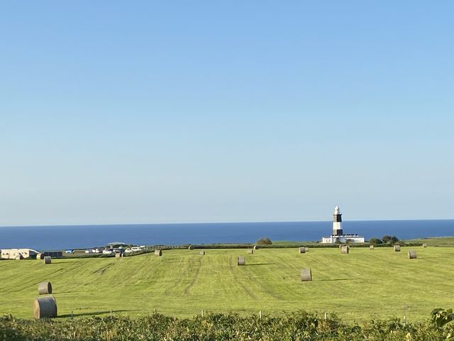 �O���̉f��̎B�e���s��ꂽ�Ƃ��B_�\�斦�C��