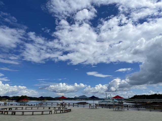 �i�F�T�C�R�[_���]���e���X�V��