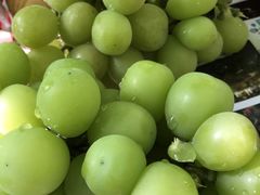 񂳂̊ό@Ôւ̓eʐ^1