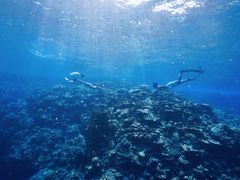 chi�����Onebreath Irabu�ւ̓��e�ʐ^1