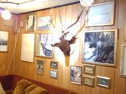 񂳂̐ERY̏h@Ƃ̓eʐ^3