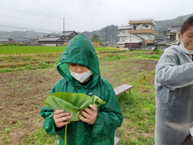 ̃gĝ RbvĉJ𗭂߂ VłƂł_R؃t@[